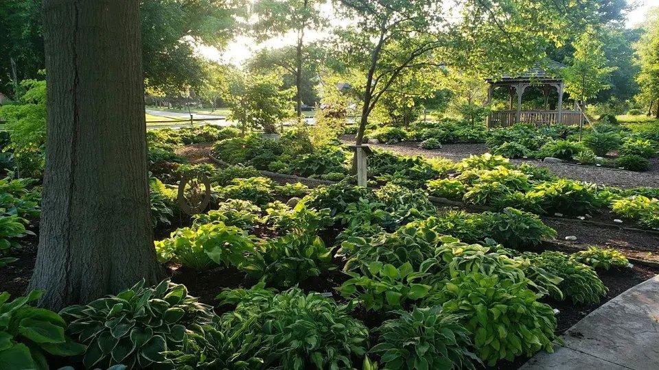 Simpson Garden Park