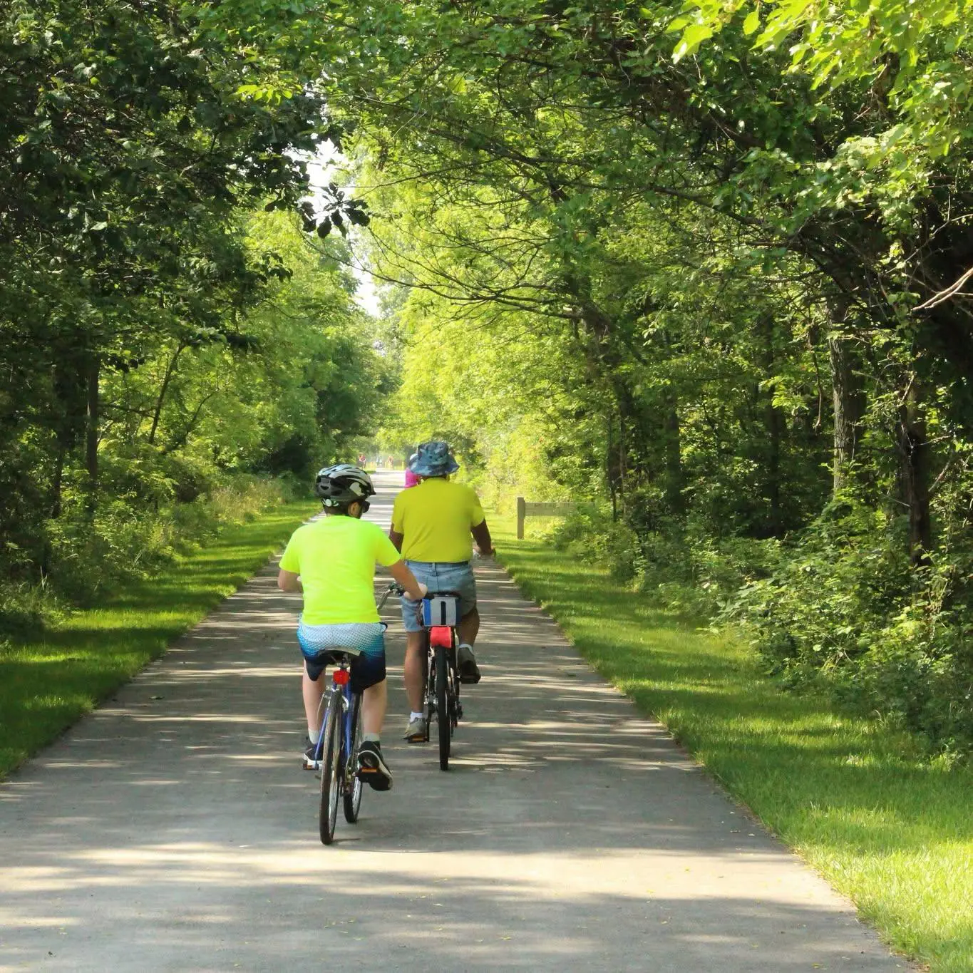 Black Swamp Preserve