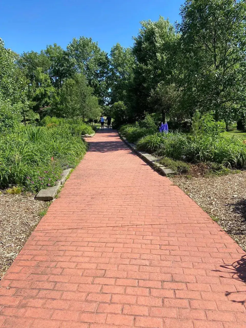 Simpson Garden Park