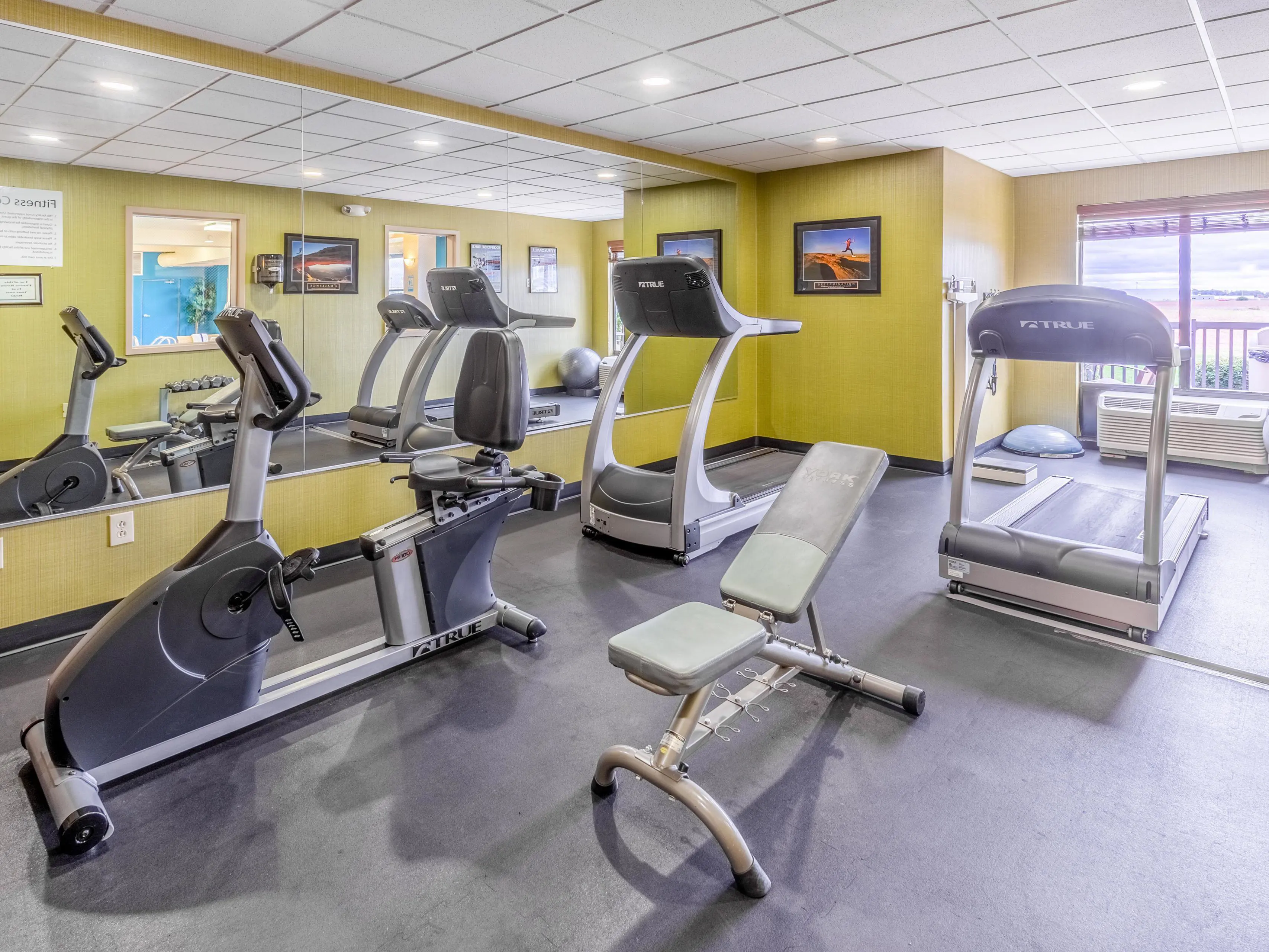 Holiday Inn Express & Suites Bowling Green, an IHG Hotel