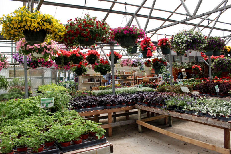 Earth Day in BG 2021