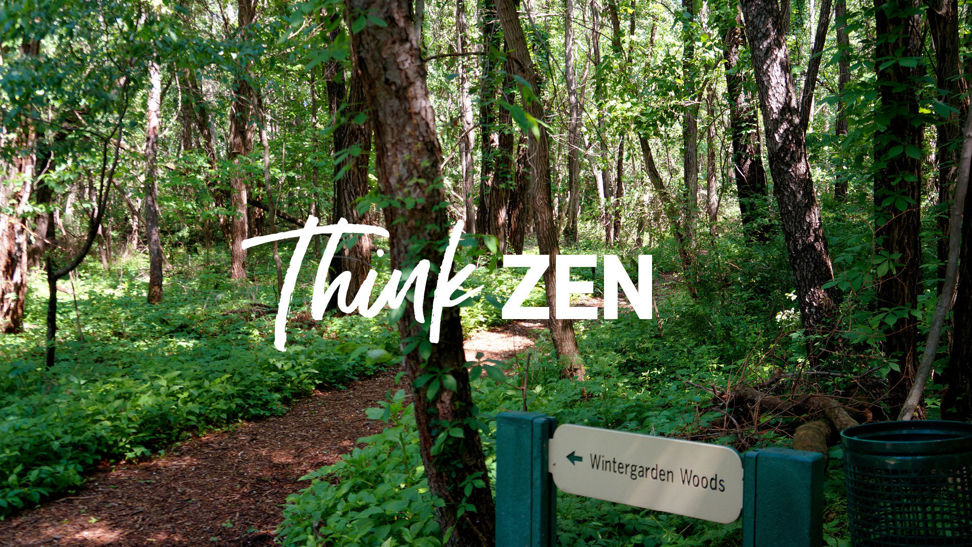 Think Zen